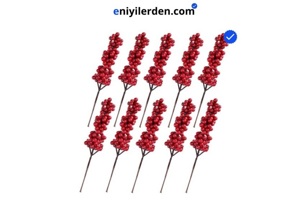 Kırmızı Kokina Yılbaşı Çiçeği