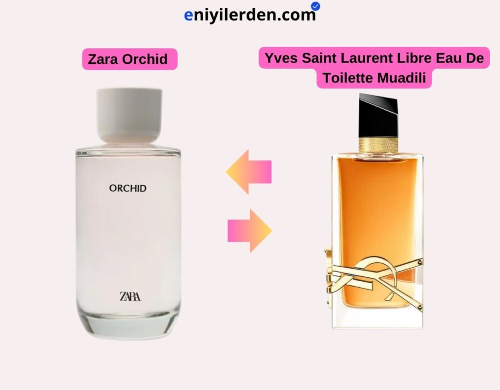 Zara Orchid - Yves Saint Laurent Libre Eau De Toilette Muadili