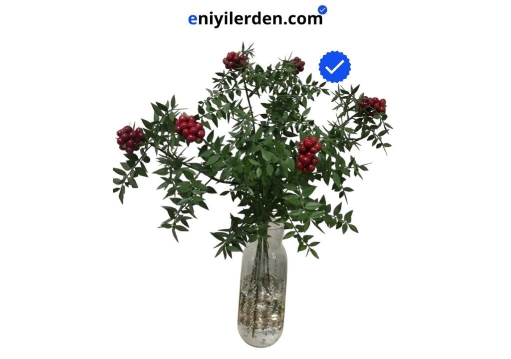Stadyumstore Kokina Canlı Yılbaşı Çiçeği