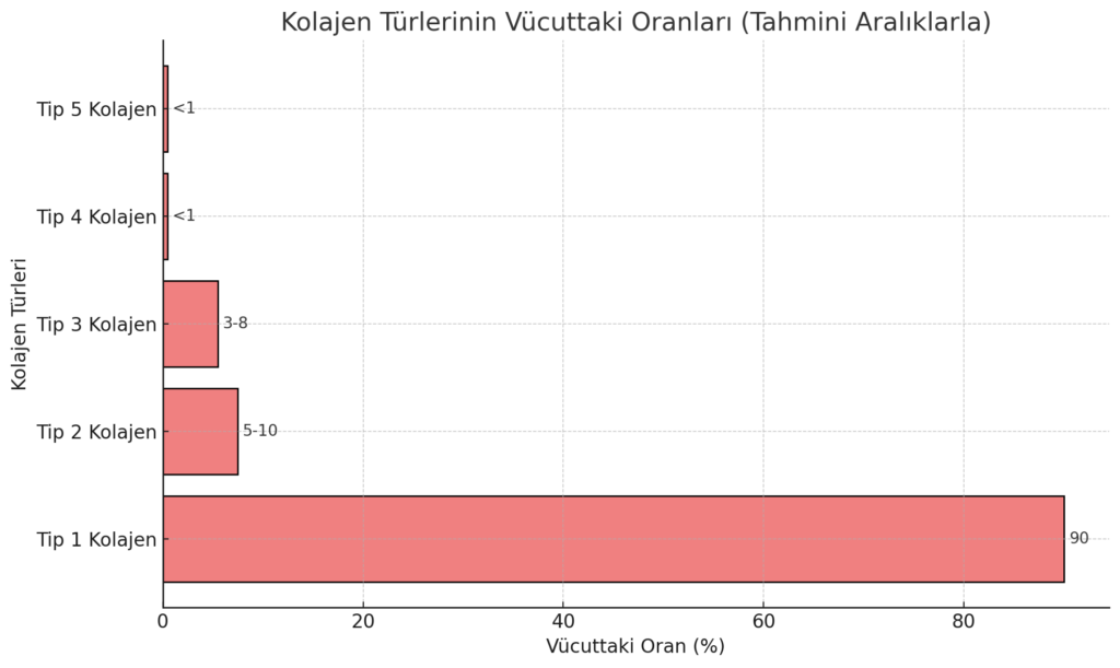 kolajenin vücuttaki oranı