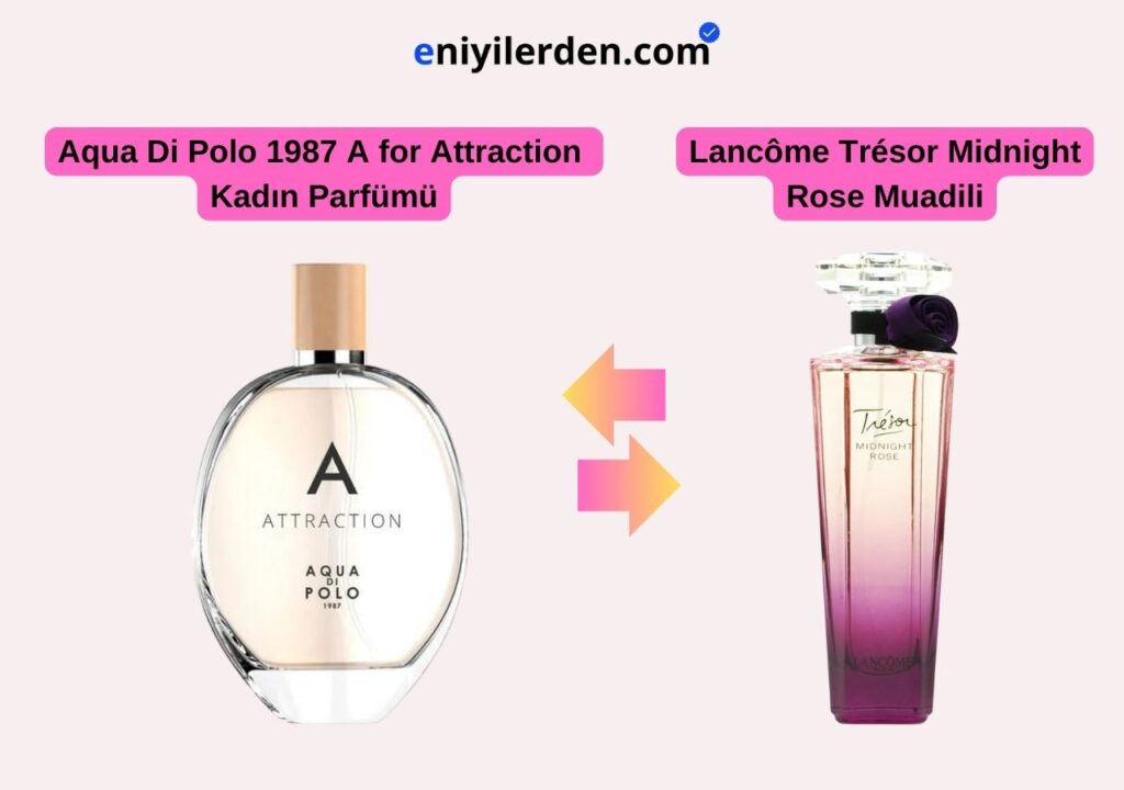 Aqua Di Polo 1987 A for Attraction Kadın Parfümü - Lancôme Trésor Midnight Rose Muadili