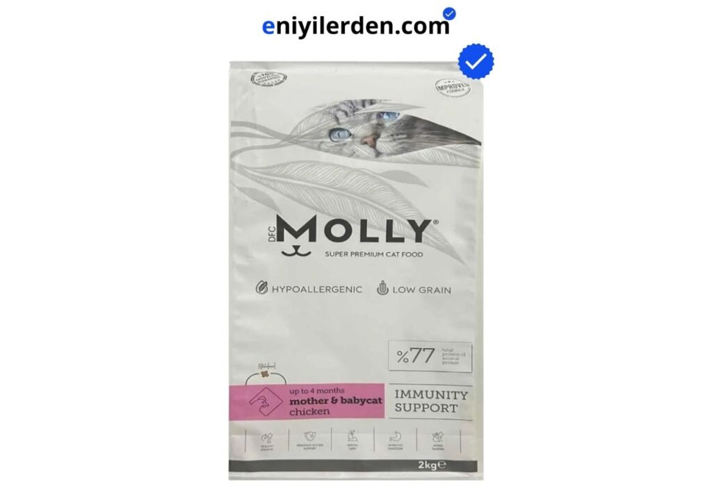 Molly Anne Kedi Maması
