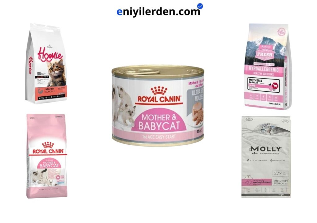 En İyi Anne ve Yavru Kedi Mamaları