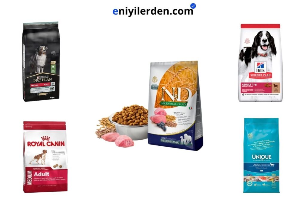 En İyi Yetişkin Köpek Maması