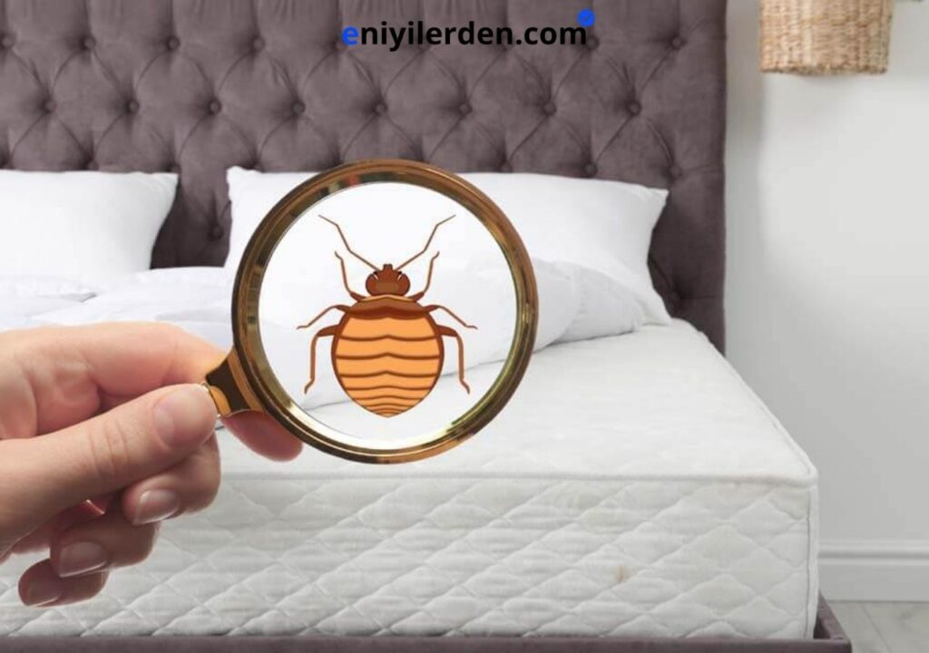 Pirelerden Nasıl Kurtulunur?