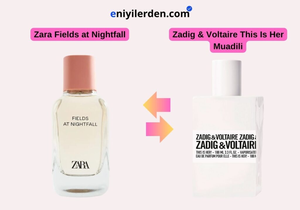 Zara Fields at Nightfall – Zadig & Voltaire This Is Her Muadili